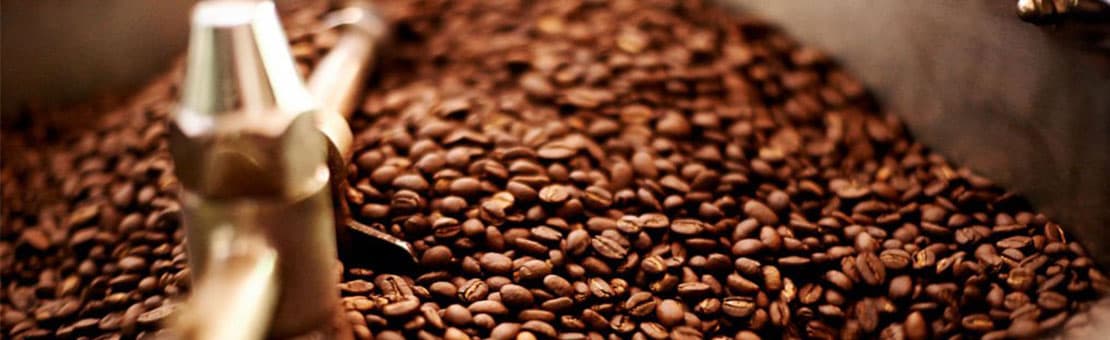 Coffee plantation