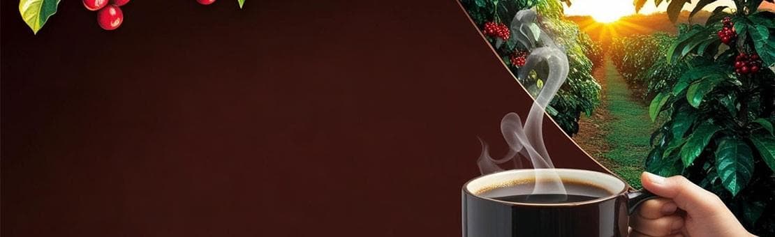 Coffee farm